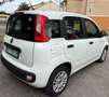 Fiat Panda 1.3 MJT 95 CV S&S Easy Bianco - thumbnail 2