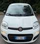 Fiat Panda 1.3 MJT 95 CV S&S Easy Bianco - thumbnail 7