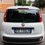Fiat Panda 1.3 MJT 95 CV S&S Easy Bianco - thumbnail 3