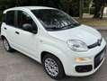 Fiat Panda 1.3 MJT 95 CV S&S Easy Bianco - thumbnail 4