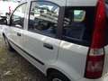 Fiat Panda Panda 1,2 City City Weiß - thumbnail 9