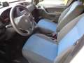 Fiat Panda Panda 1,2 City City Weiß - thumbnail 11