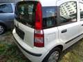 Fiat Panda Panda 1,2 City City Weiß - thumbnail 7