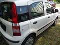 Fiat Panda Panda 1,2 City City Weiß - thumbnail 6