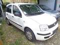 Fiat Panda Panda 1,2 City City Weiß - thumbnail 4