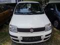 Fiat Panda Panda 1,2 City City Weiß - thumbnail 3