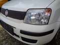 Fiat Panda Panda 1,2 City City Weiß - thumbnail 10
