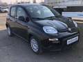 Fiat Panda MY24 1.0 Klima PDC Citypaket Schwarz - thumbnail 2