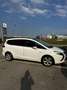 Opel Zafira Tourer Tourer, 7 posti, 1600cc Turbo EccoMetano/Benzina - thumbnail 1