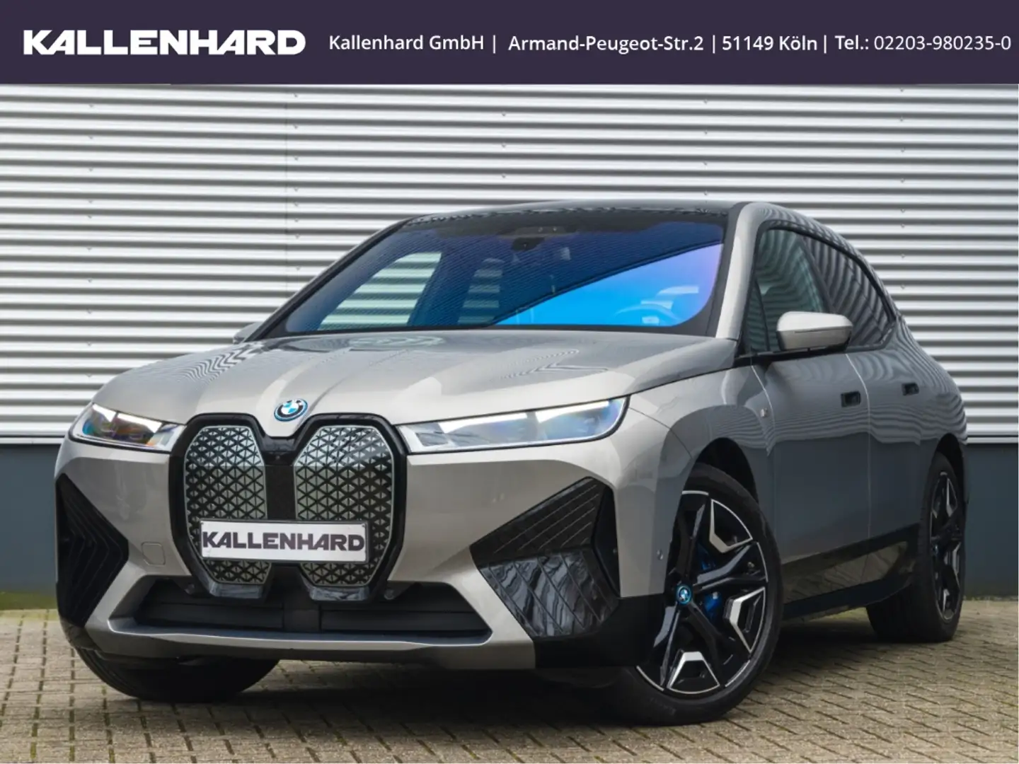 BMW iX M60-Pano-AHK-DrivingAssProf-HarmanKardon Gris - 2