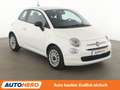 Fiat 500 1.0 Mild-Hybrid*KLIMA*TEMPO*WENIG-KM* Weiß - thumbnail 8