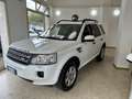 Land Rover Freelander 2.2 td4 HSE 150cv - thumbnail 2