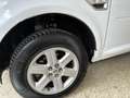 Land Rover Freelander 2.2 td4 HSE 150cv - thumbnail 7
