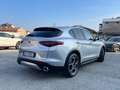 Alfa Romeo Stelvio 2.2 TDI Rosso Edizione 160CV AT8 - AUTOCARRO N1 Argento - thumbnail 6
