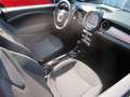 MINI Cooper Cabrio Cooper Automatik 1.Hand  19000 km Blau - thumbnail 10