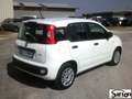 Fiat Panda UNIPROPRIETARIO SOLO 39.000KM! Bianco - thumbnail 3