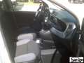 Fiat Panda UNIPROPRIETARIO SOLO 39.000KM! Bianco - thumbnail 7