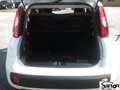 Fiat Panda UNIPROPRIETARIO SOLO 39.000KM! Bianco - thumbnail 10