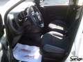 Fiat Panda UNIPROPRIETARIO SOLO 39.000KM! Bianco - thumbnail 5