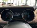 Ford Mustang GT Convertible *DT. FZG., RFK, SITZKLIMA* Wit - thumbnail 27