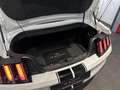 Ford Mustang GT Convertible *DT. FZG., RFK, SITZKLIMA* Wit - thumbnail 13