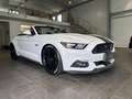 Ford Mustang GT Convertible *DT. FZG., RFK, SITZKLIMA* Wit - thumbnail 17