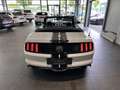 Ford Mustang GT Convertible *DT. FZG., RFK, SITZKLIMA* Wit - thumbnail 12