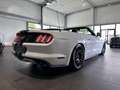 Ford Mustang GT Convertible *DT. FZG., RFK, SITZKLIMA* Wit - thumbnail 15