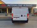 Fiat Ducato 30 2.2 Mjt 120CV PC-TN Furgone Bianco - thumbnail 6