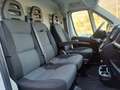 Fiat Ducato 30 2.2 Mjt 120CV PC-TN Furgone Bianco - thumbnail 13