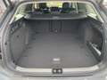 Volkswagen Passat Variant Business TDI DSG Grau - thumbnail 20