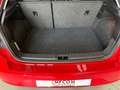 SEAT Ibiza 1.0 tgi Style 90cv Rosso - thumbnail 15