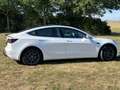 Tesla Model 3 Model 3 Long Range AWD Weiß - thumbnail 6