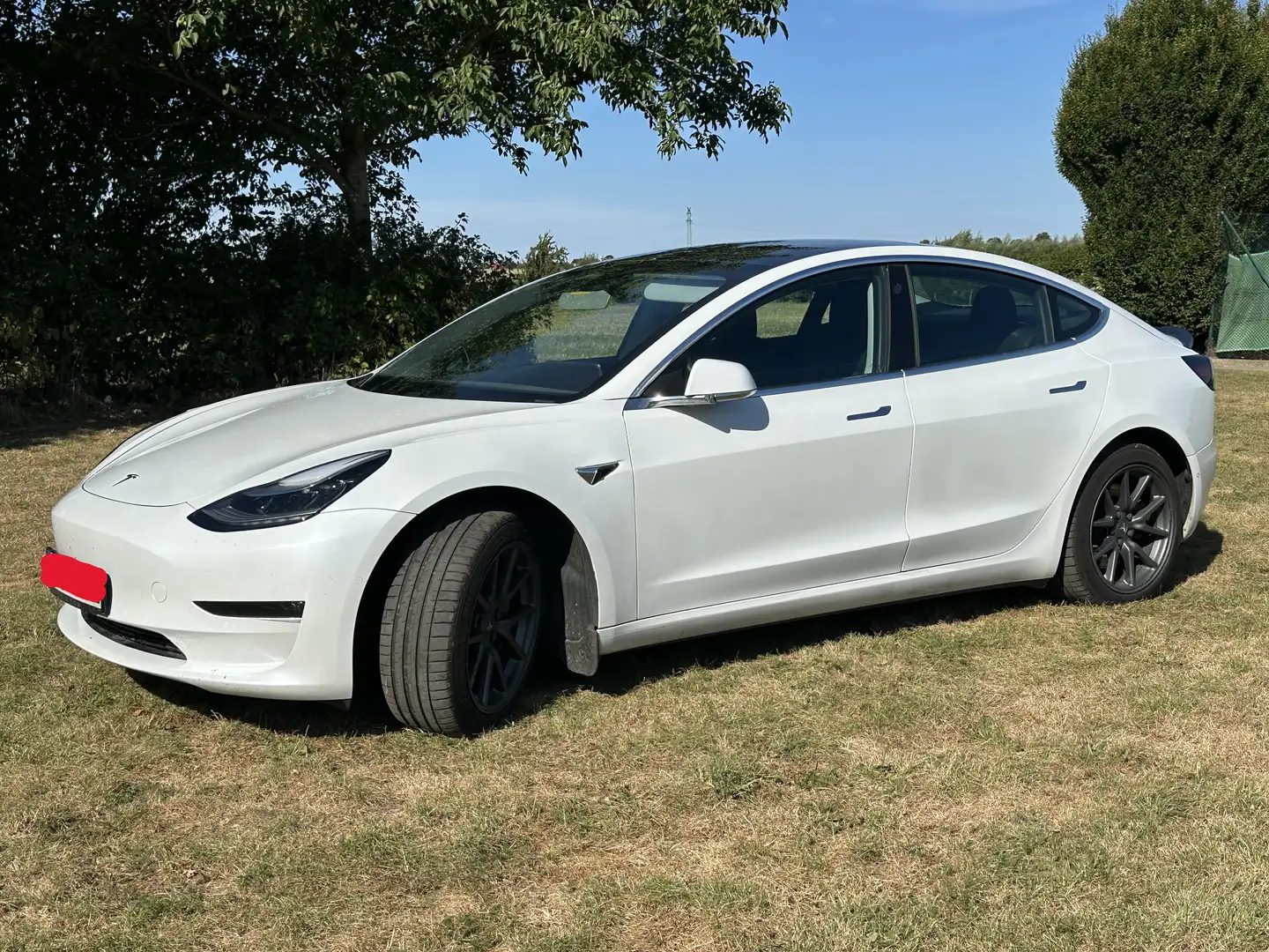Tesla Model 3 Model 3 Long Range AWD Weiß - 1