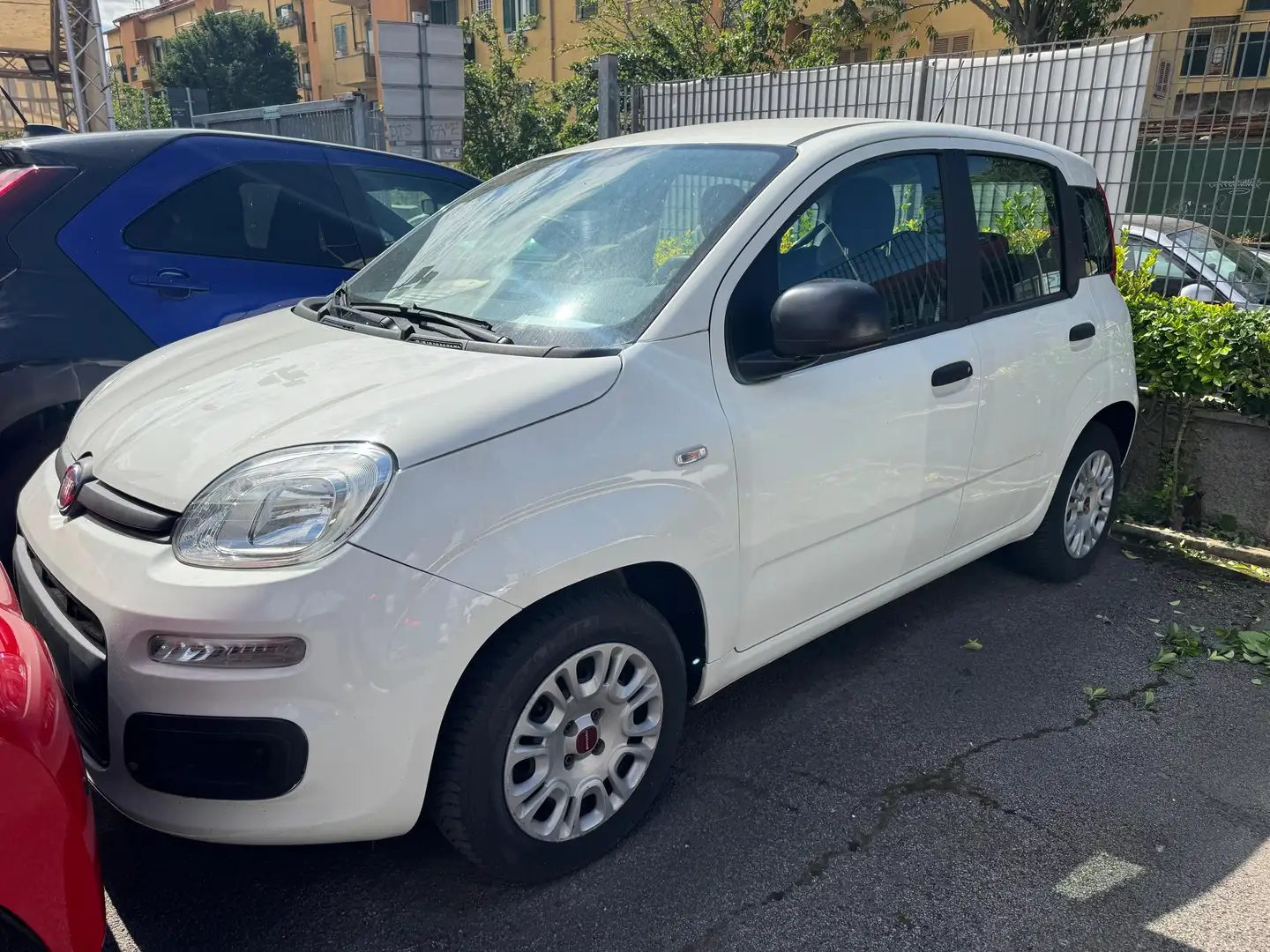 Fiat Panda 🔴 FIAT PANDA 1.2 69CV BENZINA MANUALE Fehér - 1