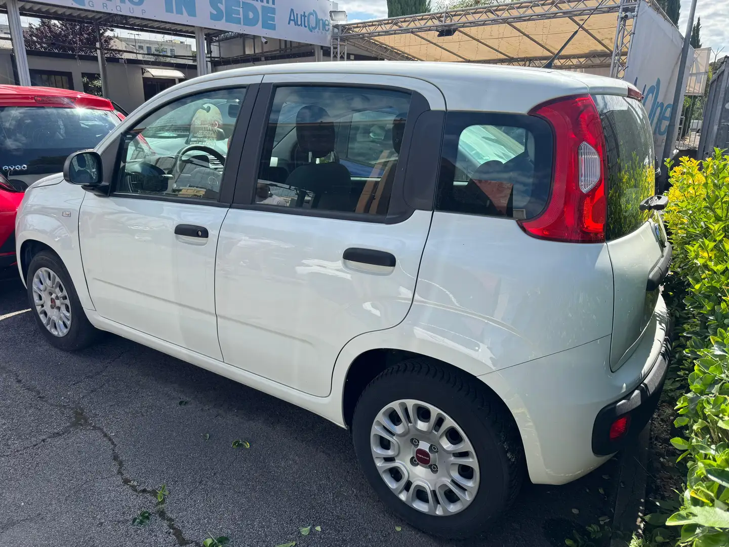 Fiat Panda 🔴 FIAT PANDA 1.2 69CV BENZINA MANUALE Fehér - 2