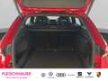 Skoda Octavia Combi Sportline 2,0 TDI 110 kW DSG  AHK  Kamerasys Rood - thumbnail 19