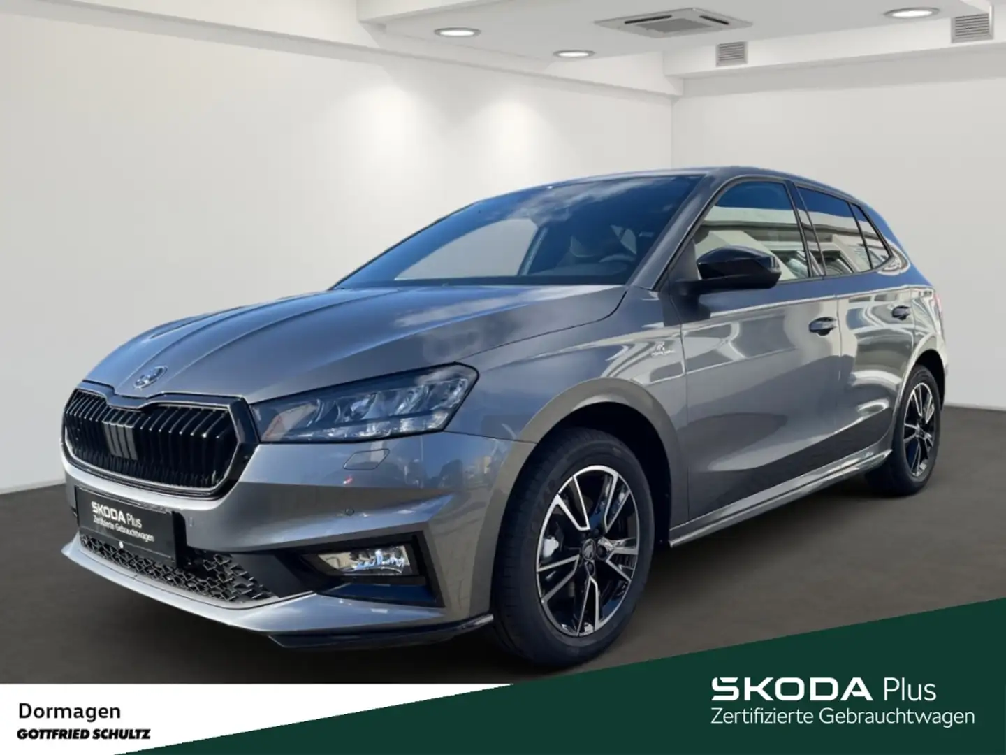 Skoda Fabia Monte Carlo 1.0 TSI DSG LED KAMERA SMART LINK Grau - 1