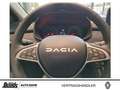 Dacia Sandero Stepway ECO-G 100 Expression - Navi, SHZ, Kamera Groen - thumbnail 13