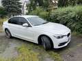 BMW 318 318i Advantage White - thumbnail 10