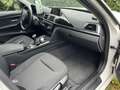 BMW 318 318i Advantage White - thumbnail 9