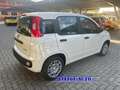 Fiat Panda PROMO FINANZ 1.0 HYBRID 5 POSTI +PACK CITY KM 0 Bianco - thumbnail 6