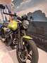 Moto Guzzi V7 Sport Sport Verde - thumbnail 6