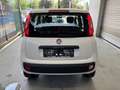 Fiat Panda Lounge Weiß - thumbnail 9