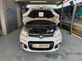 Fiat Panda Lounge Weiß - thumbnail 2