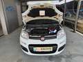 Fiat Panda Lounge Weiß - thumbnail 15