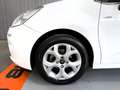 Citroen C3 Tetto+Distribuzione Ok+Neo-Patentati+1Proprietario Weiß - thumbnail 4