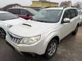 Subaru Forester Weiß - thumbnail 1