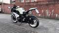 Honda CBR 1000 RR Fireblade *SONDERMODELL*HANNSPREE* Blanc - thumbnail 2
