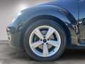Volkswagen Beetle Sport Noir - thumbnail 17